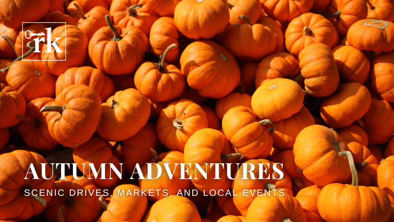 Autumn Adventures: Scenic Drives, Markets, and Local Events Around St. Louis | RedKey Realty Leaders
